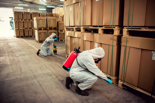 Best Pest Control Near Me  in Wyong, MI