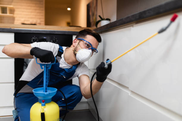 Best Rat Extermination Near Me  in Wyong, MI