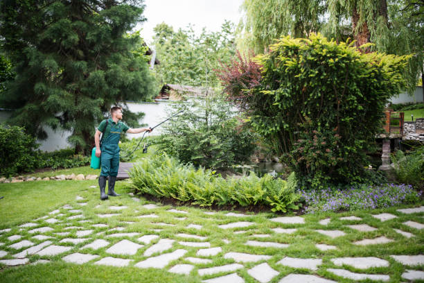 Best Pest Inspection Near Me  in Wyong, MI