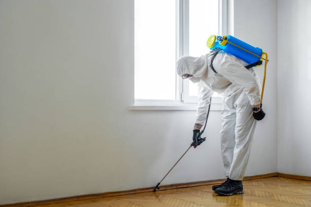 Best Exterminator Services  in Wyong, MI