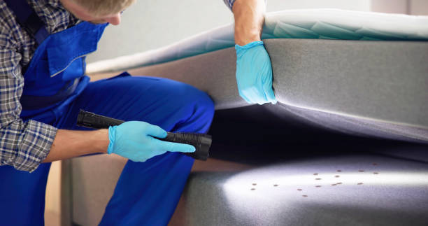 Best Pest Control Near Me in Wyoming, MI