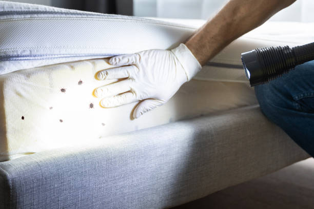 Best Residential Pest Control  in Wyong, MI