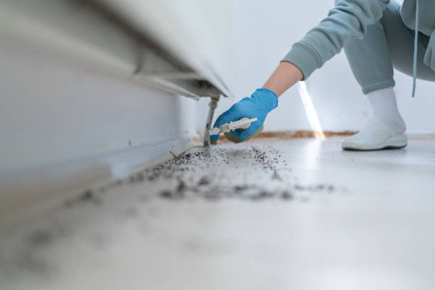 Best Pest Control for Businesses  in Wyong, MI