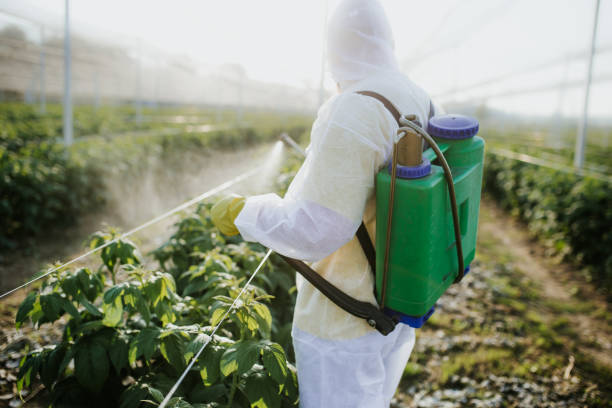 Best Cockroach Control Services  in Wyong, MI